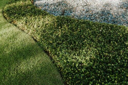 KWD Landscape-Architecture Community 5588