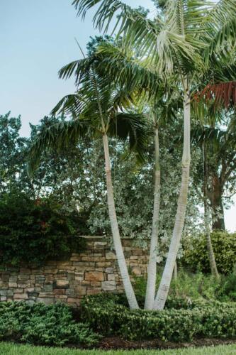 KWD Landscape-Architecture Community 5780