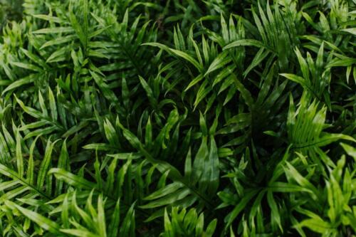 KWD Landscape-Architecture Community 5793